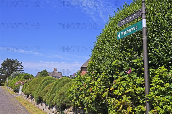 Luxury villas in Hobokenweg in Kampen