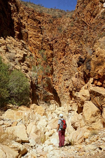 Hikers in a gorge