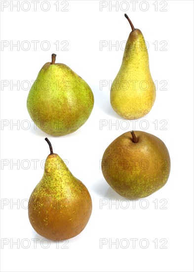 Comice Pear