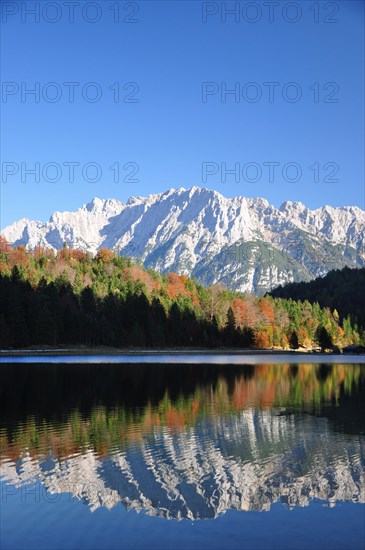 Autumn forest
