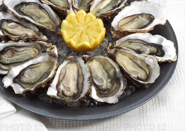 French oyster called Marennes d'Oleron