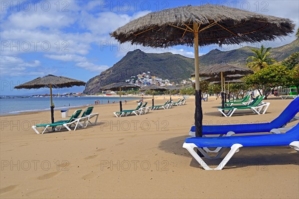 Parasols and palm trees at Playa de las Teresitas beach