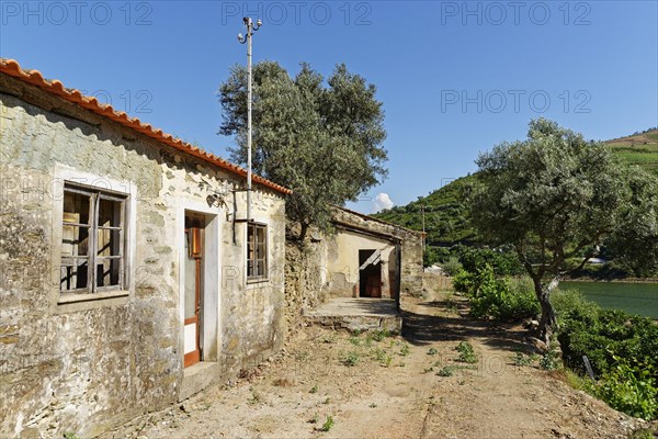 Ruinous house