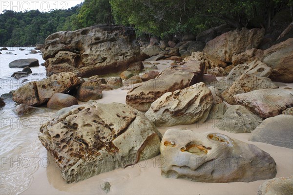 Beach with rocks and rainforest