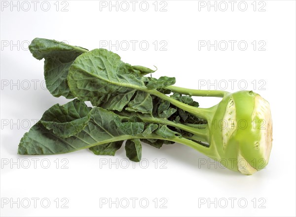 Kohlrabi Cabbage