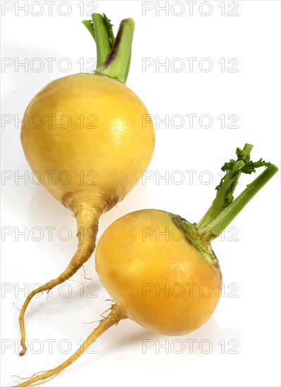 Golden Ball Turnip