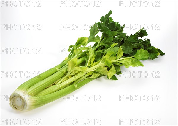 Celery