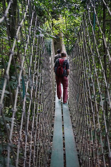 Suspension bridge