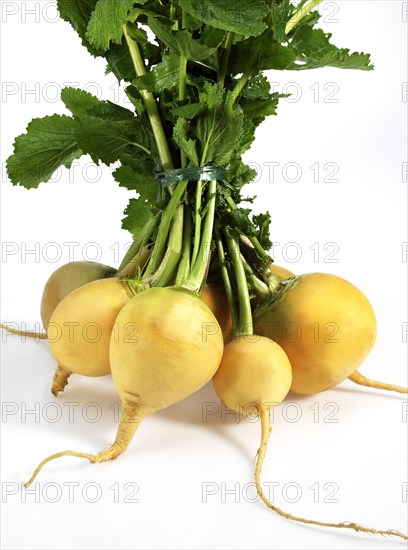 Golden Ball Turnip