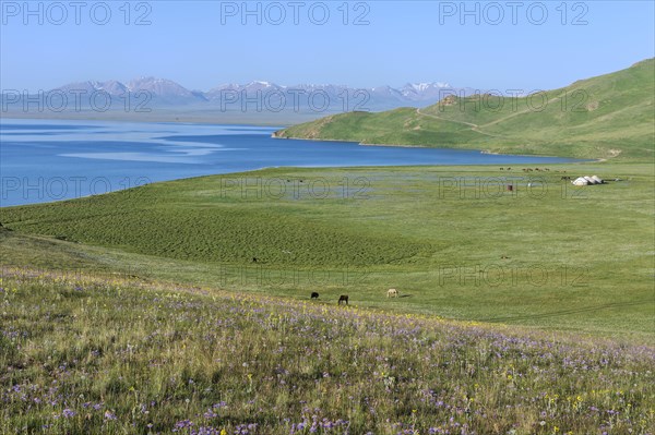 Song-Kol Lake