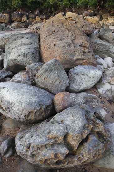 Beach with rocks and rainforest