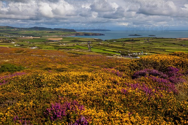 Braich y Pwll