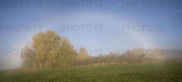 Autumn morning with Halo