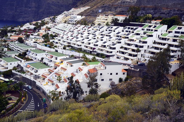 Tourist castles in Puerto de Santiago