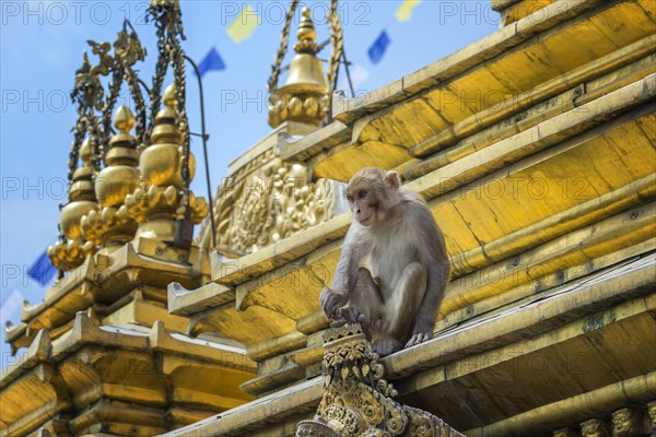 Kathmandu