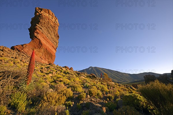 Roques de Garcia