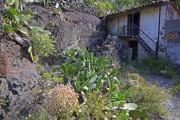 Morbid charm of dilapidated buildings in lonely mountain village