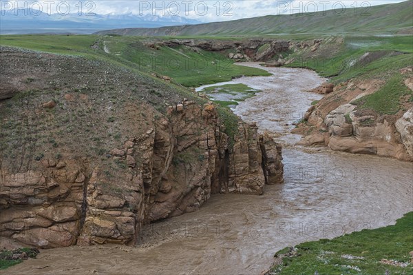 Muddy mountain river flowing through a wild gorge