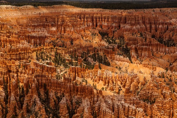 Bryce Point