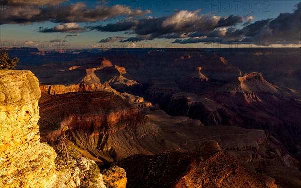 Yavapai Point