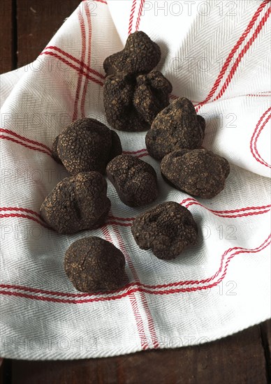 Perigord Truffle