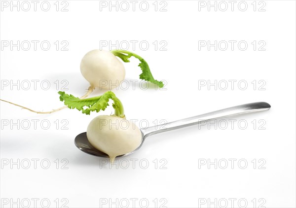 MINIATURE TURNIPS