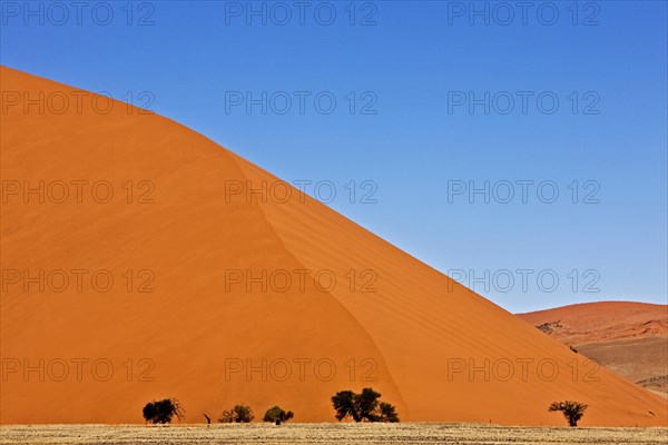 Namib Desert