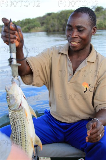 Angler with goliath tigerfish