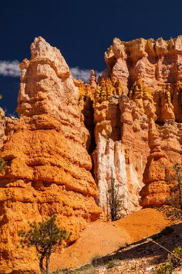 Navajo Loop Trail