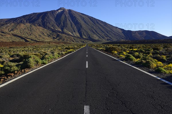 Pico del Teide Road and Volcano
