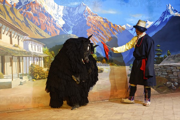 Traditional Tibetan dance performed by a folkloric group