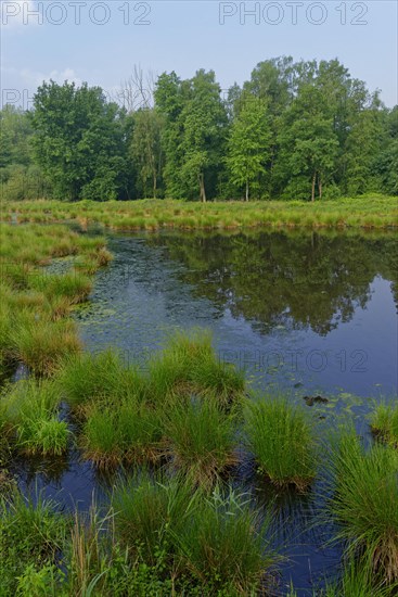 Schwalm-Nette nature Park