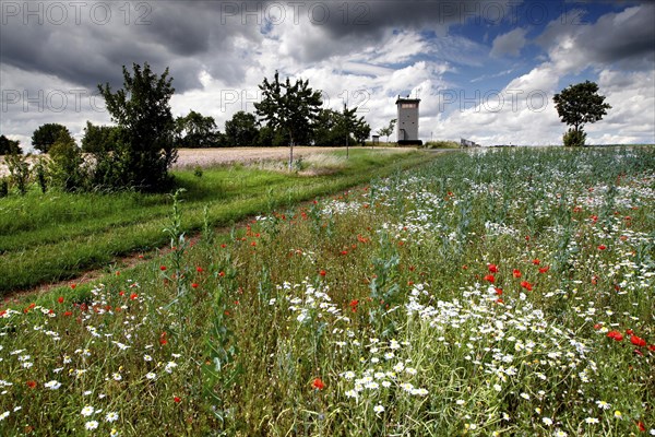 Landscape in the Heldburger Zipfel