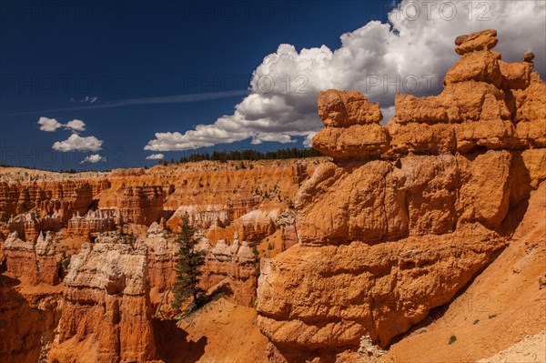 Navajo Loop Trail