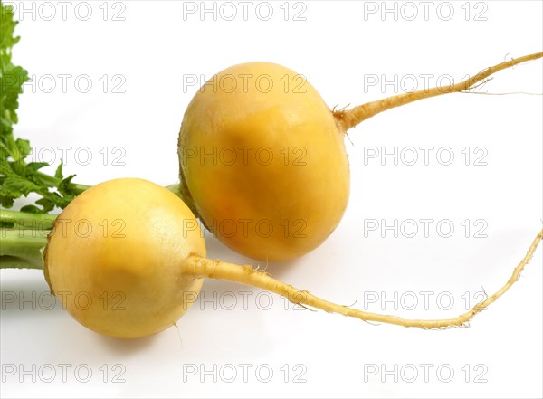 Golden Ball Turnips