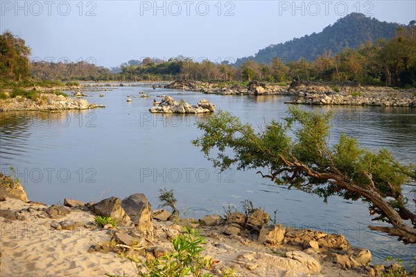 Bank of the Mekong