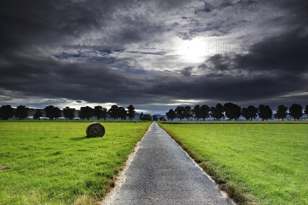 Field path in the Werratal