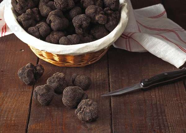 Perigord Truffle