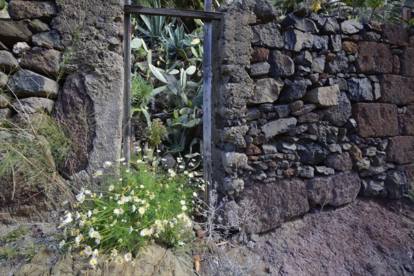 Morbid charm of dilapidated buildings in lonely mountain village