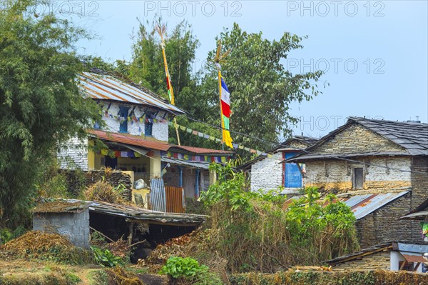 Mountain village and terraces of Dhampus