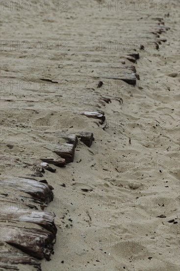 Boardwalk to the beach