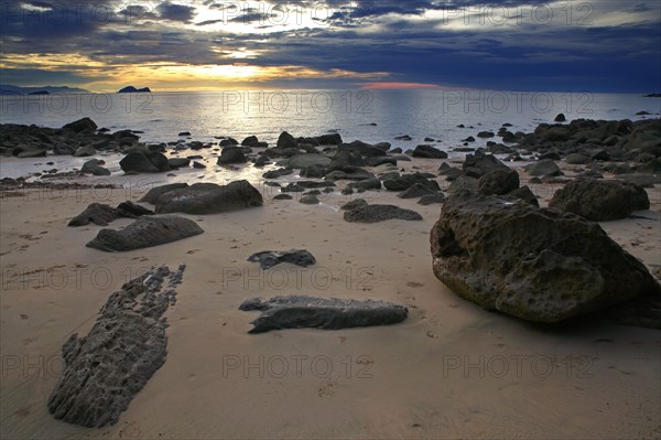 Beach with rocks and rainforest