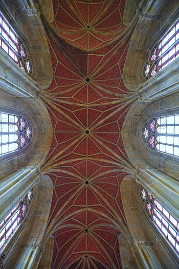 Ceiling vault