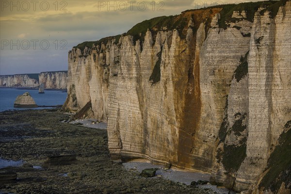 Coast with chalk cliffs