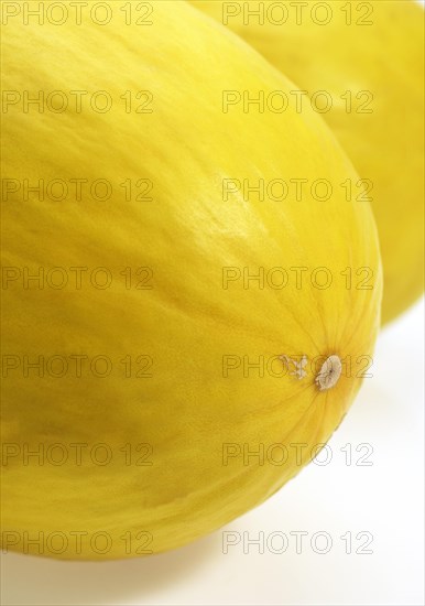 Yellow Spanish Melon