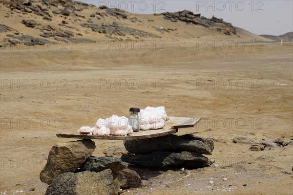 Salt crystal stall at Cape Cross