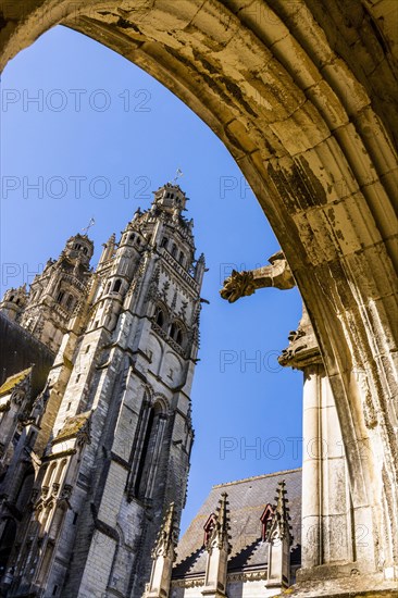 Gargoyle of Cloister of la Psalette near the Saint GatienÂ´s Cathedral of Tours