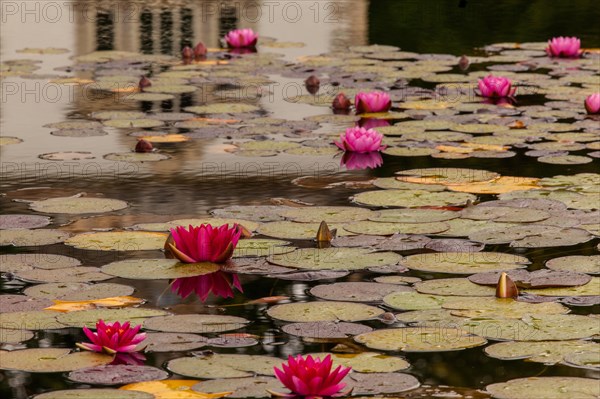 Bodnant Garden