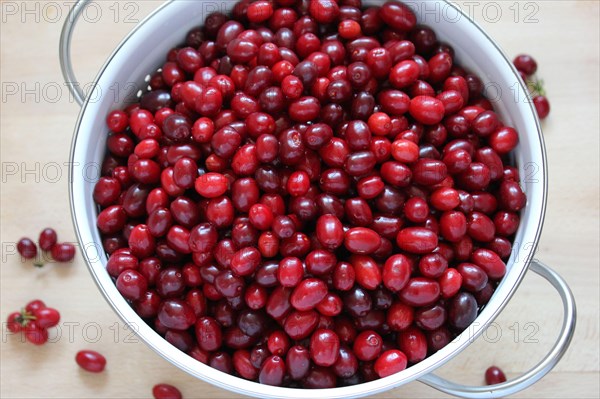 Cornelian cherries