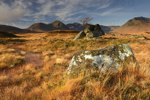 Rannoch Moor